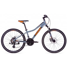 Велосипед Giant XTC Jr 1 24 Disc grey