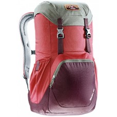 Walker 20