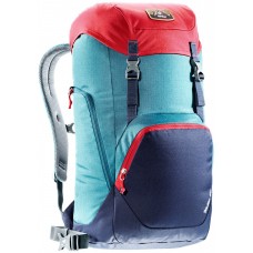 Walker 24